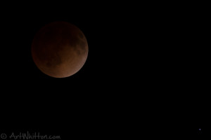 Blood Moon - Cropped