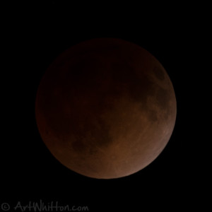 Blood Moon - out of camera