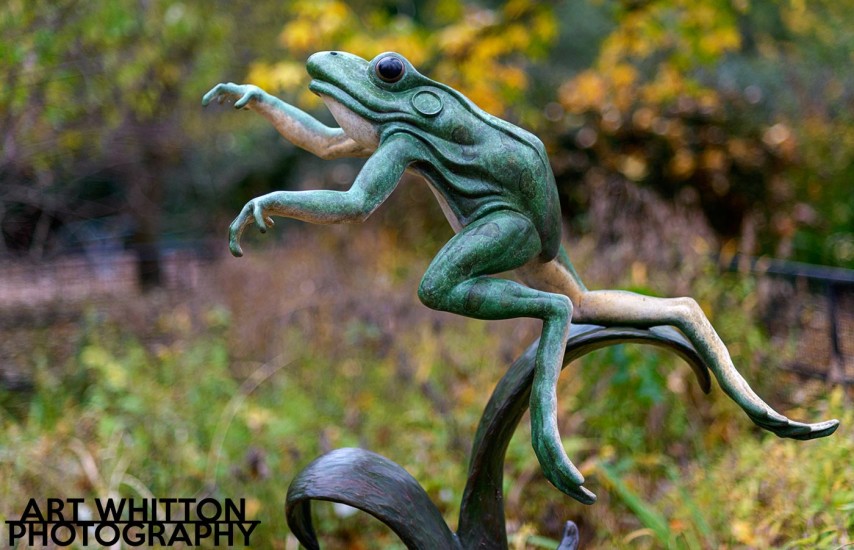 Frog Sculpture at National Zoo