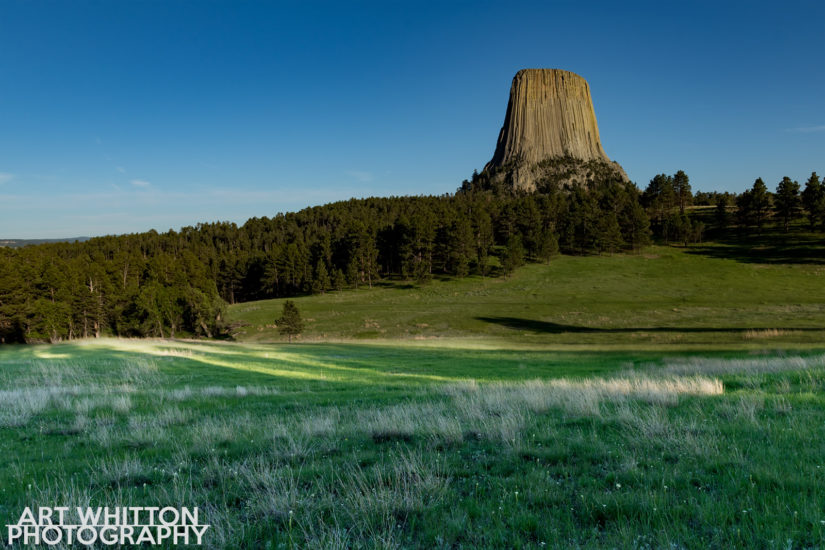 Devils Tower Photography - 