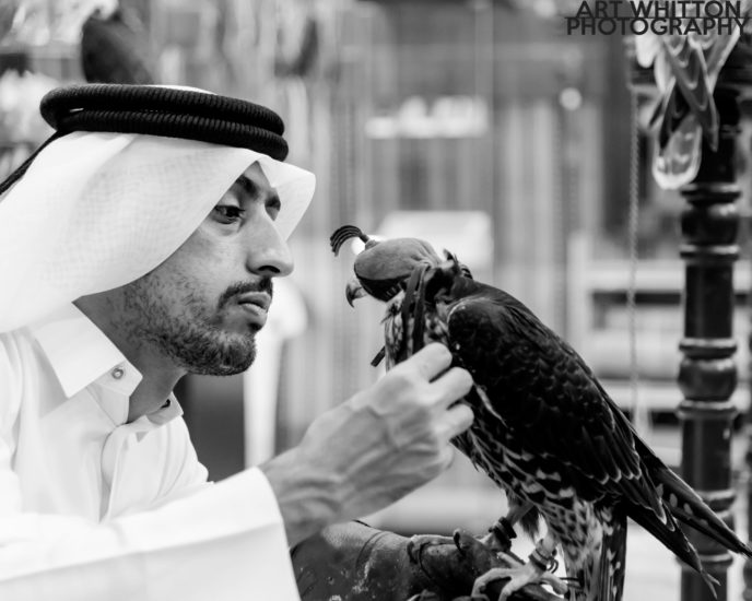 Falcon Souq - Doha Qatar