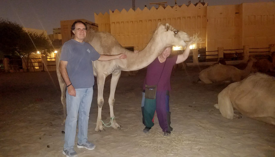 Checking out the Camels at Souq Waqif