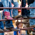 2018 Thayer County Fair - Mutton Busting