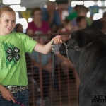 2018 Thayer County Fair - 4H Beef Show