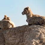 Photographing-Badlands-National-Park_03