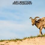 Photographing-Badlands-National-Park_04