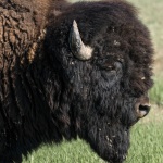 Photographing-Badlands-National-Park_34