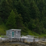 Bonne Bay Boat Tour east arm 02