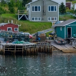 Bonne Bay Boat Tour fisermans wharf