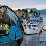 Bonne Bay Boat Tour fishing boats