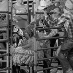 the-county-fair-mutton-busting-2