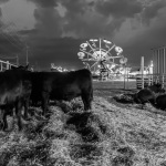 the-county-fair-backstage