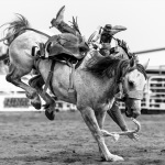 the-county-fair-rodeo