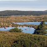 Driving through Newfoundland 01