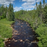 Near North End of Grand Lake Newfoundland