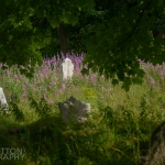 Petty Harbour Newfoundland - 06 church cemetery