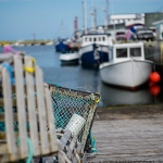 Petty Harbour Newfoundland - 03 fishing boats nets