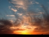 Sky Feathers