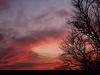sunset-with-tree-branches24x36