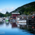 Quidi Vidi Harbour - 05