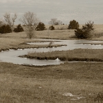 Spring Creek with Geese
