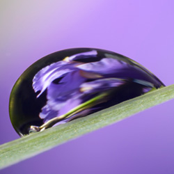 water-drop-reflections-photography-by-art-whitton