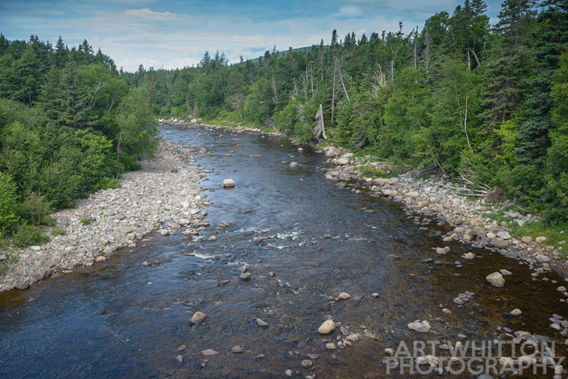 A brook in Newfoundland