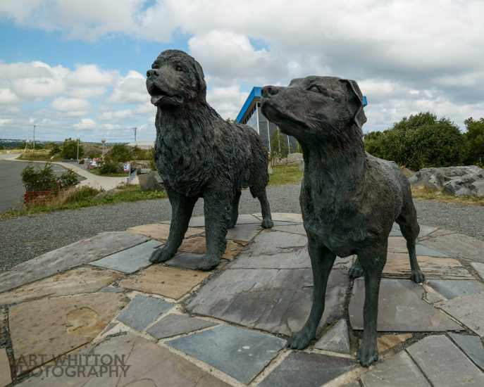 Newfoundland and Labrador dog statues Signal Hill