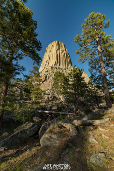 Devils Tower Photography by Art Whitton